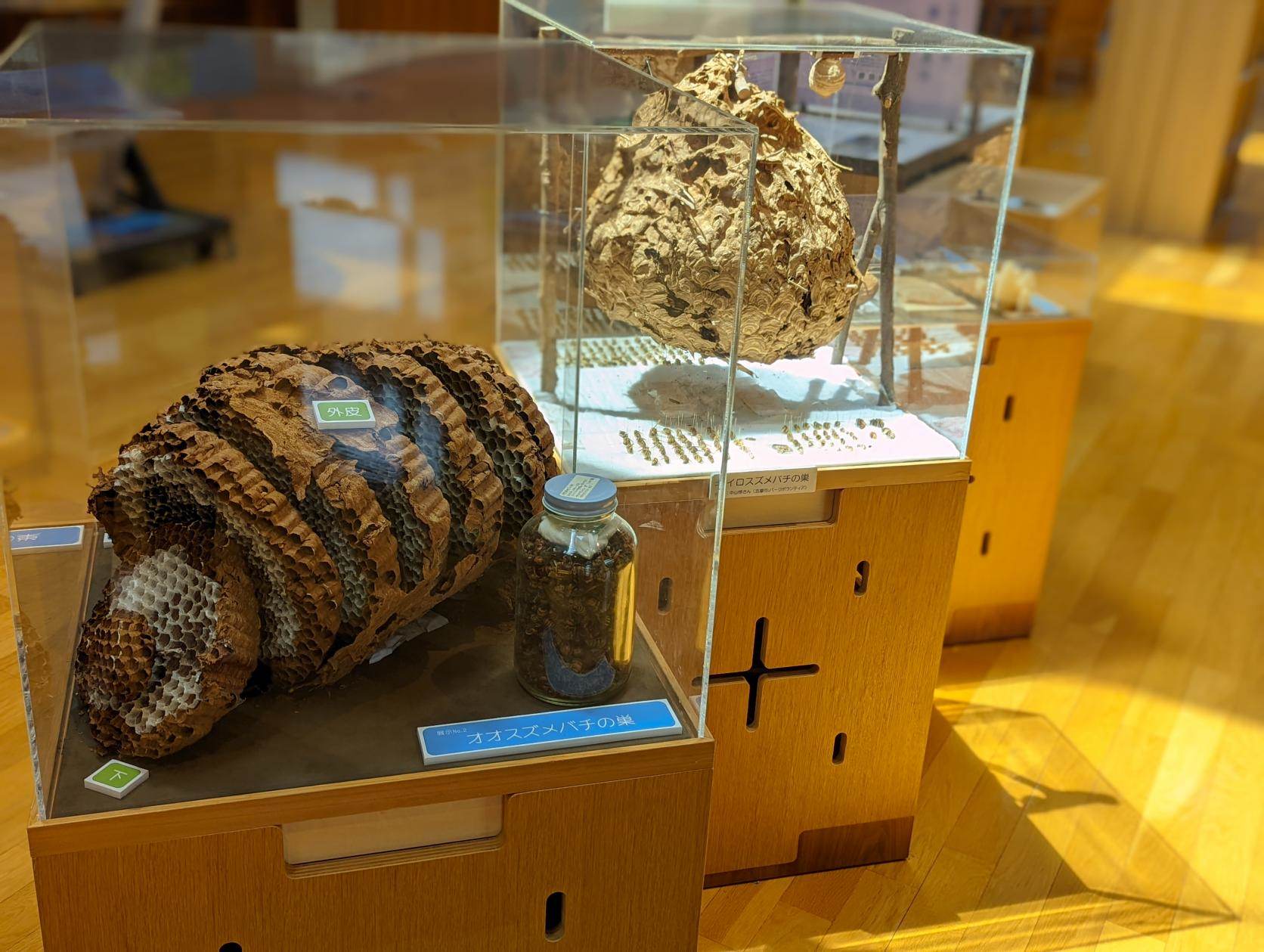 图片[7] - 伊势志摩国立公园横山游客中心 照片分享 - 资源分享圈子 - 交流讨论 - 展示酷