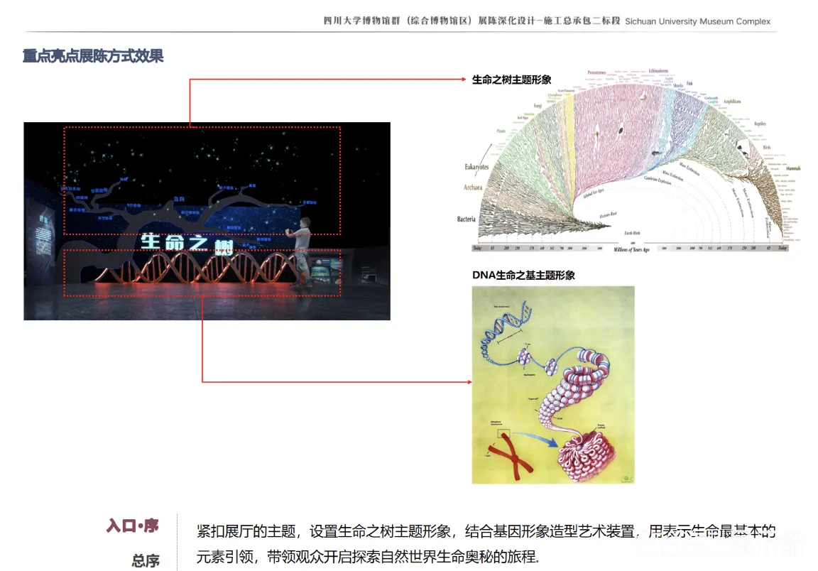 图片[4] - 四川大学博物馆群（综合博物馆区）展陈扩初深化设计方案 - 展示酷