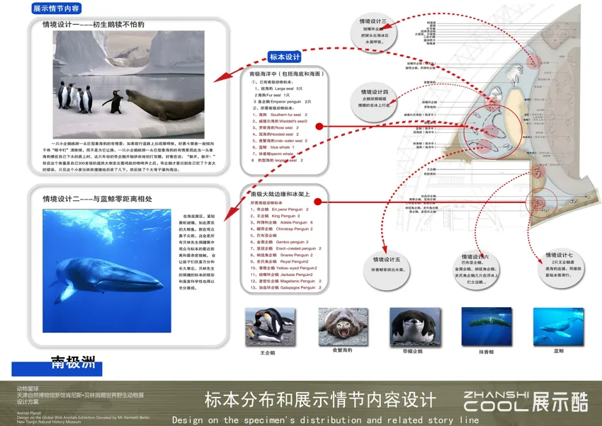 图片[7] - 天津自然博物馆新馆 肯尼斯 • 贝林捐赠世界野生动物展设计方案｜PPTX｜105页｜174.86M - 展示酷